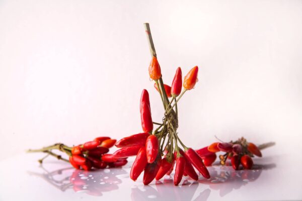 Chili Aroma 100g-1kg